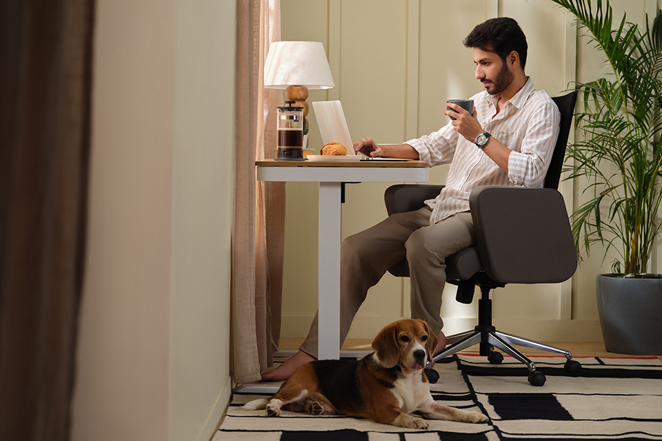 Home office and study room furniture by Interio