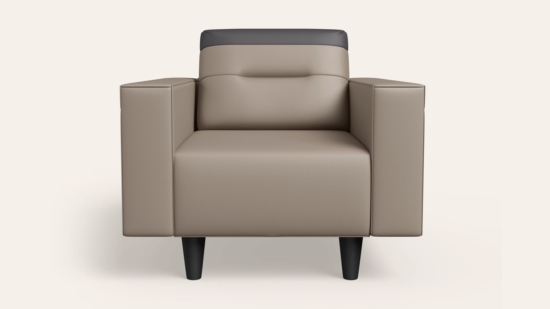 Vespera 1-Seater Synthetic Leather Sofa