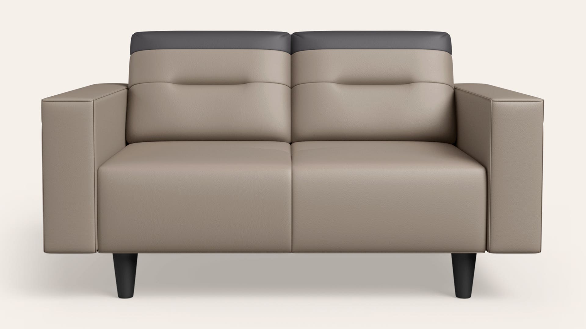 Vespera 2-Seater Synthetic Leather Sofa