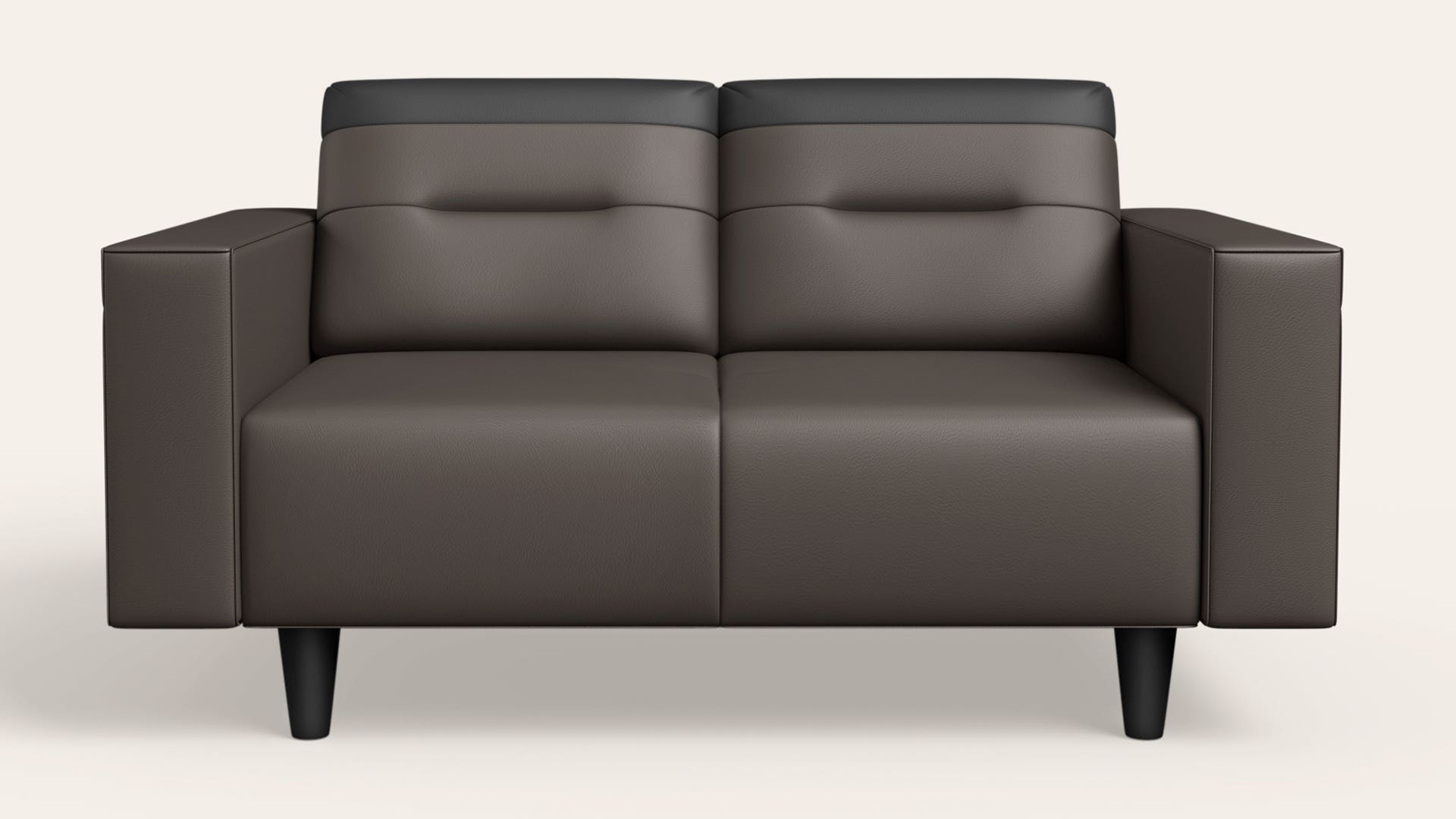 Vespera 2-Seater Synthetic Leather Sofa