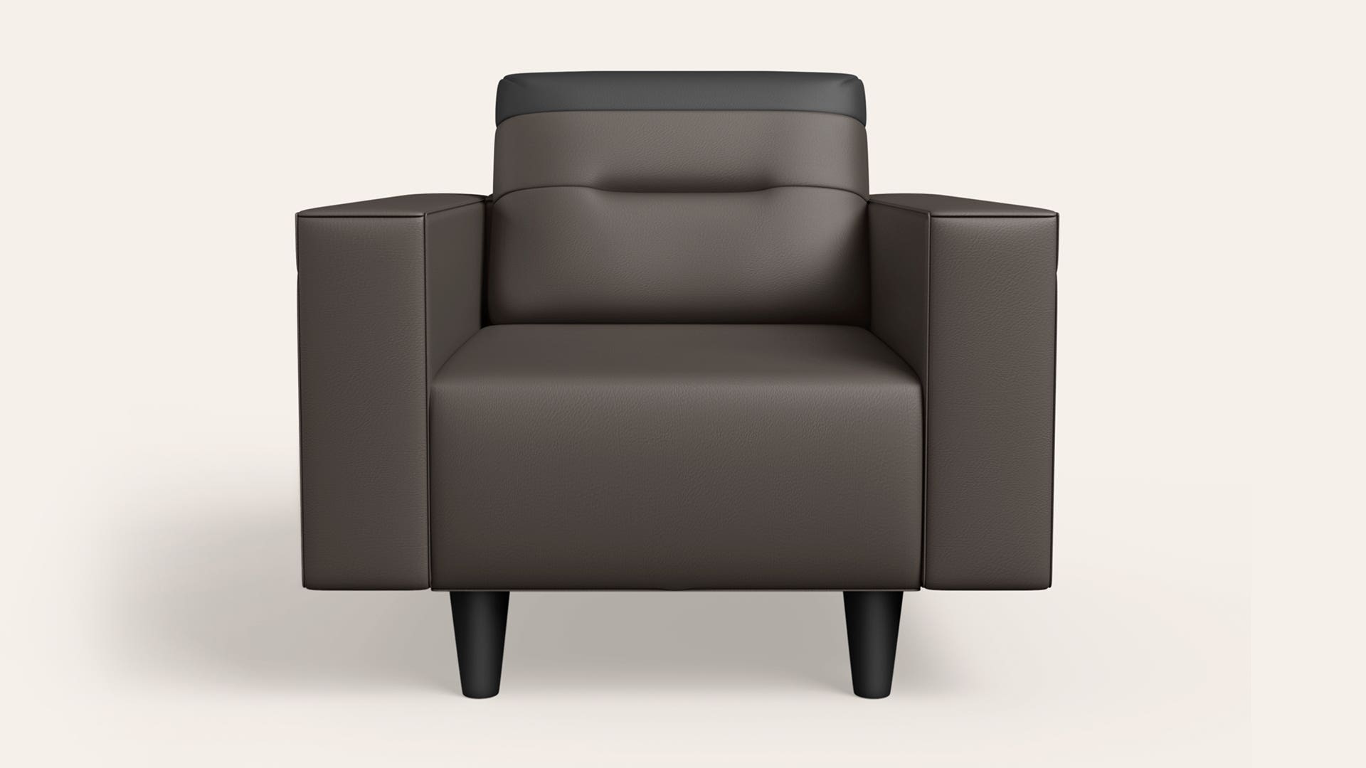 Vespera 1-Seater Synthetic Leather Sofa