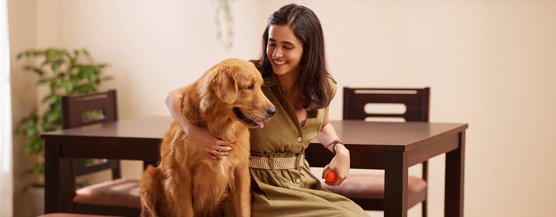 Dog Furniture Ideas: A Cosy Corner Your Furry Friend Will Love