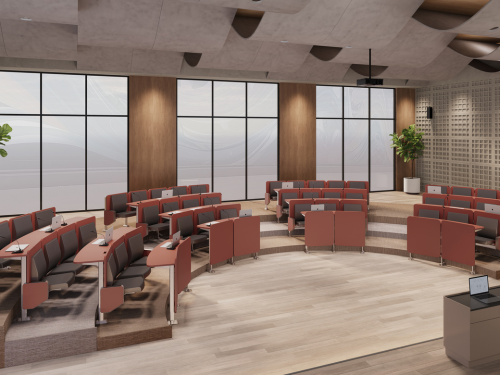 Screens, Seating & Strain: Advancing Student Well-being Through Ergonomics