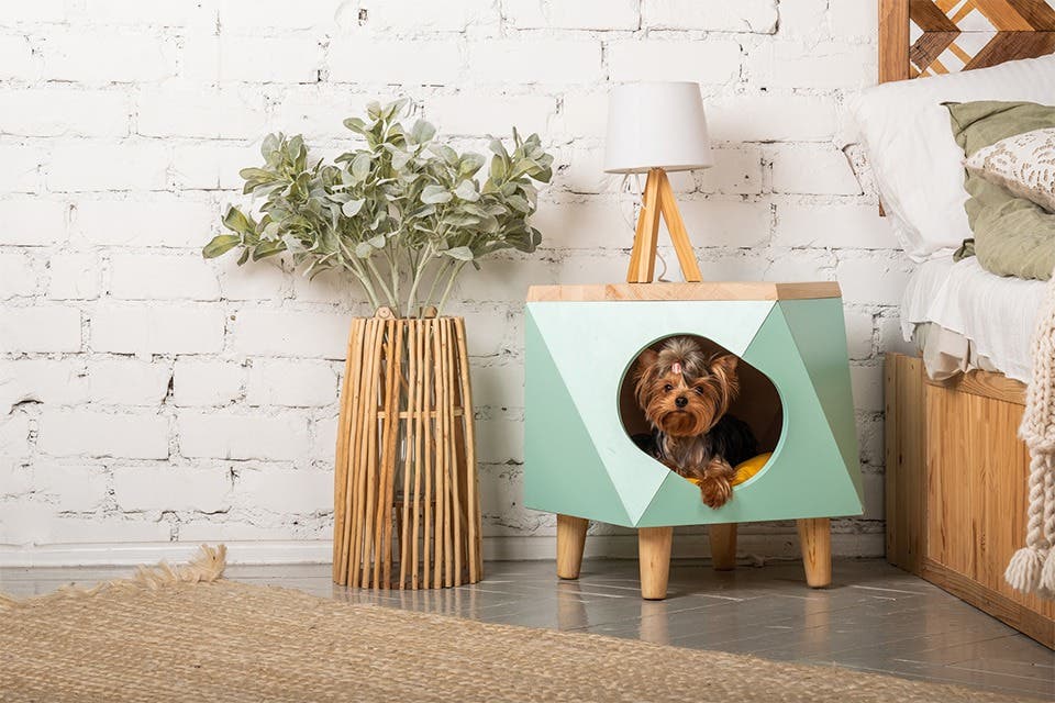 Yorkshire Terrier in a dog bed integrated into a contemporary side table in a modern home.