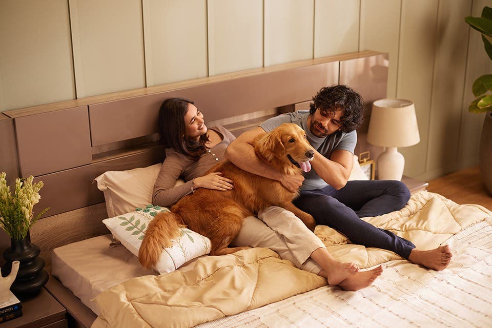 A couple and a pet relaxing together on a large bed. 