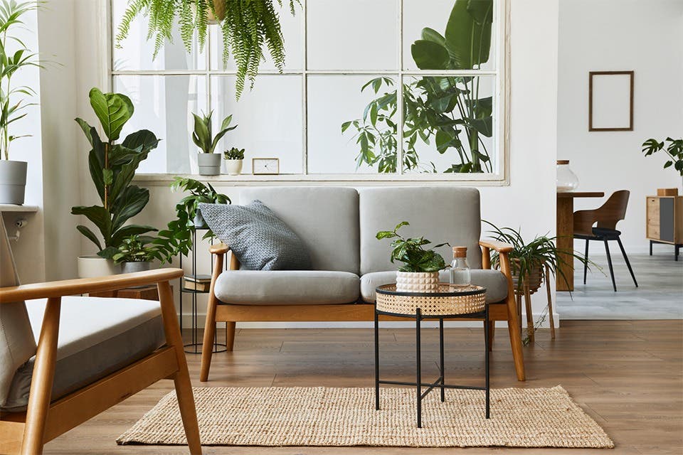 Small apartment styled with lush potted plants and outdoor seating.