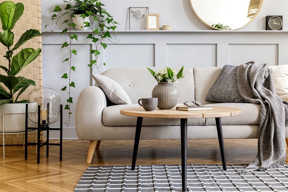 Trailing indoor plants on the shelves contrast well with two potted plants, styling a contemporary living room.