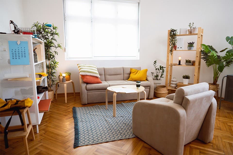 Contemporary living room with layered indoor plants placed throughout the space.